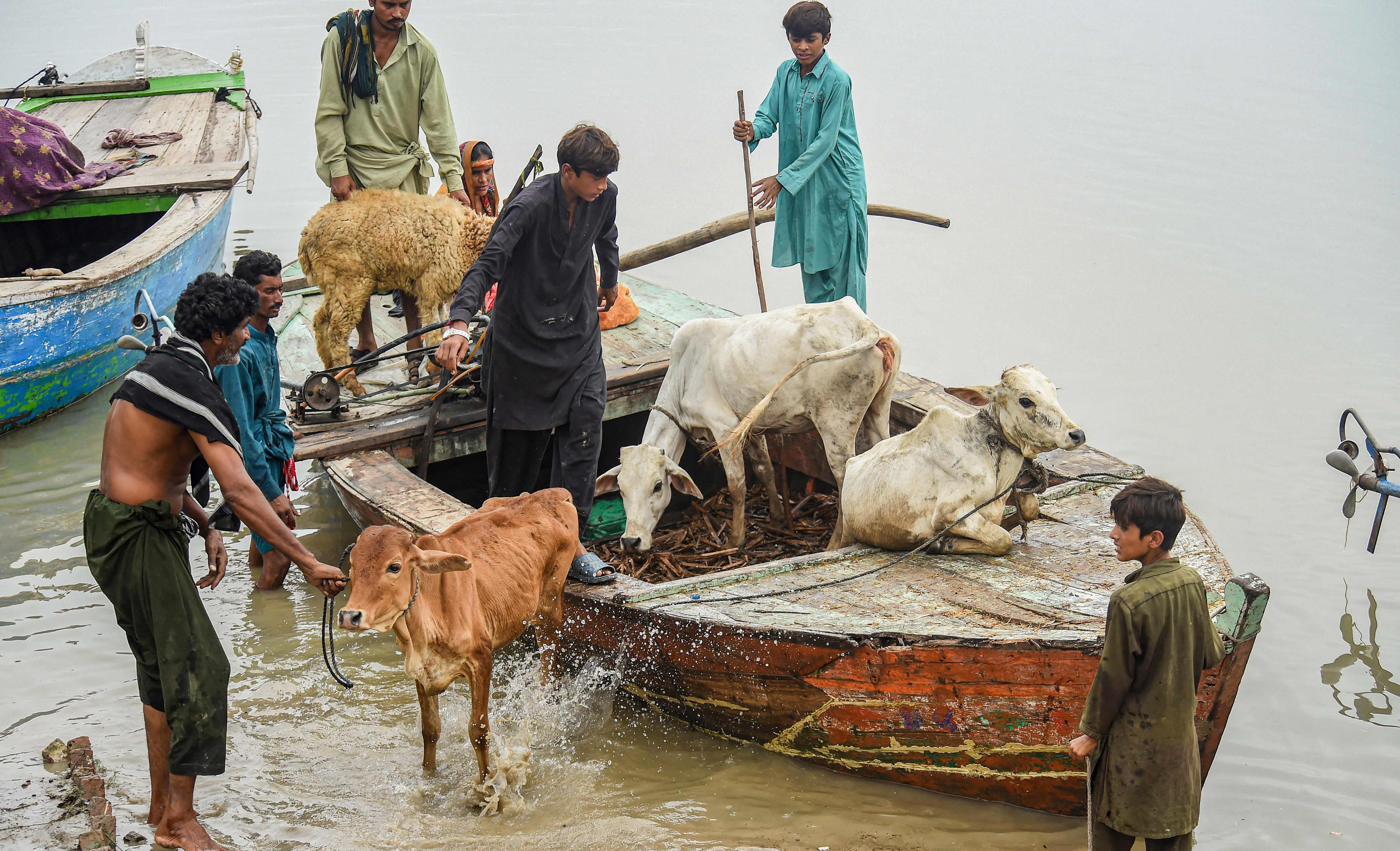 pakistan-flood (3)1661676554.jpg